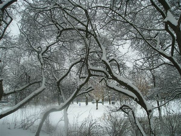 Winter -2010-