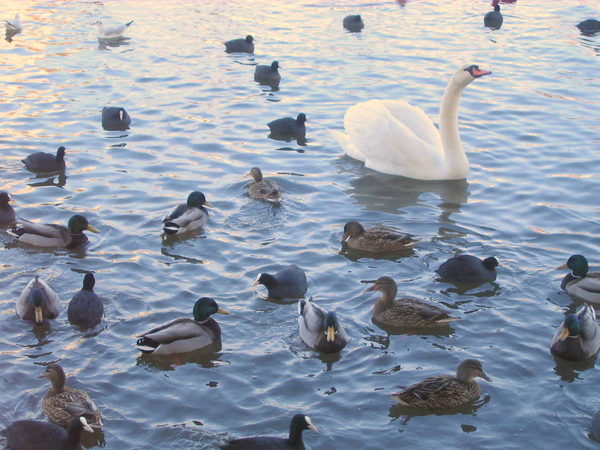 is er nog wat over????