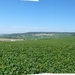 2009_08_24 006ABCD-pano omgeving Champillon - uitzicht wijngaarde