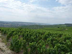 2009_08_24 099 Mutigny - wandeling door champagnevelden - uitzich