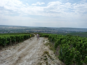 2009_08_24 100 Mutigny - wandeling door champagnevelden - uitzich