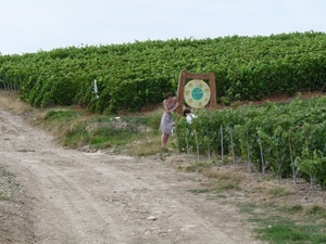 2009_08_24 106 Mutigny - wandeling door champagnevelden - Mieke e