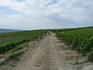 2009_08_24 108 Mutigny - wandeling door champagnevelden - uitzich