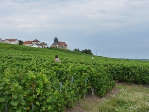 2009_08_24 112 Mutigny - wandeling door champagnevelden - uitzich