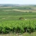 2009_08_24 115ABCD-pano Mutigny - wandeling door champagnevelden 