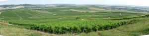 2009_08_24 115ABCD-pano Mutigny - wandeling door champagnevelden 