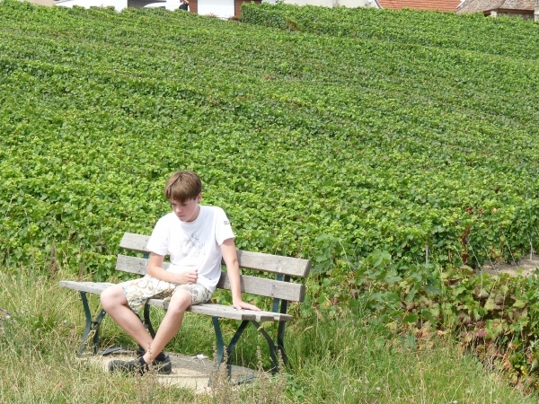 2009_08_24 118 Mutigny - wandeling door champagnevelden - uitzich