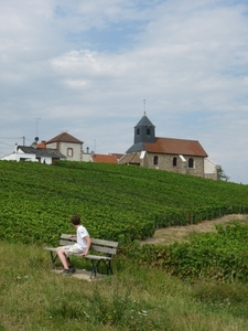 2009_08_24 119 Mutigny - wandeling door champagnevelden - uitzich