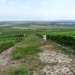 2009_08_24 122 Mutigny - wandeling door champagnevelden - uitzich