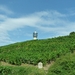 2009_08_24 128 Verzenay - toren wijnmuseum, wijngaarden