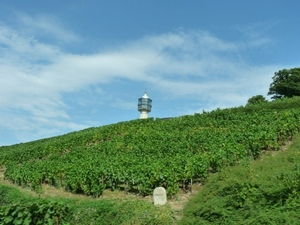 2009_08_24 128 Verzenay - toren wijnmuseum, wijngaarden