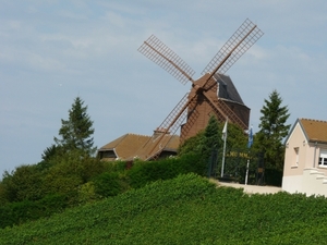 2009_08_24 130 Verzenay - windmolen close up, wijngaarden