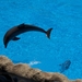 Parque Loro tenerife