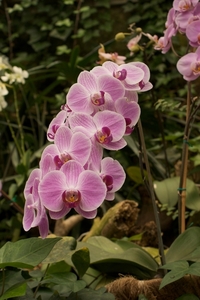 DSC01775