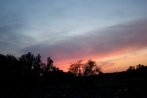 DSC_0009