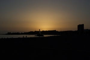 DSC_0088 (1)