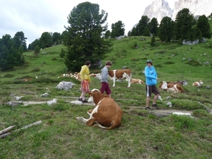 2009_07_09 014 Sellajoch (Passo Sella) - Benno, Otto, Mieke bij k