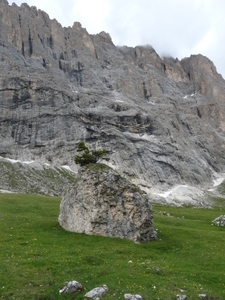 2009_07_09 051 Sellajoch (Passo Sella) - speciale rots, rotsen ac