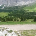 2009_07_09 060 Sellajoch (Passo Sella) - uitzicht koeien