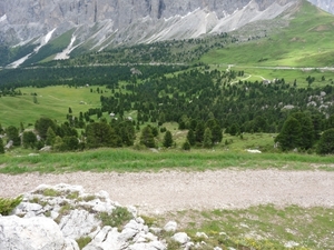 2009_07_09 060 Sellajoch (Passo Sella) - uitzicht koeien