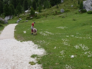 2009_07_10 016 Würzjoch (Passo delle Erbe) - namen met stenen in