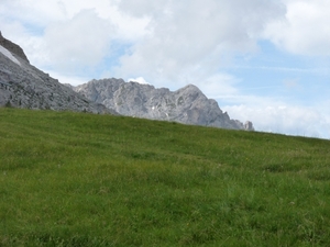 2009_07_10 047 Würzjoch (Passo delle Erbe) - onderweg close up