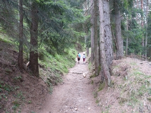 2009_07_12 005 Völs am Schlern (Fiè allo Sciliar) - wandeling n