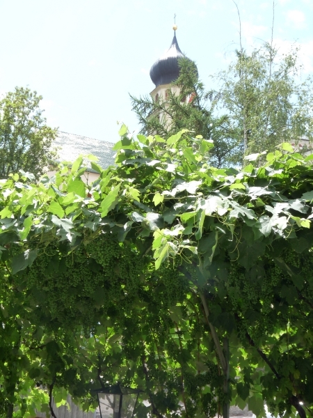 2009_07_12 029 Völs am Schlern (Fiè allo Sciliar) - restau - te