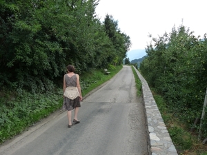 2009_07_12 052 Albeins (Albes) - onderweg naar Untersteinerhof - 