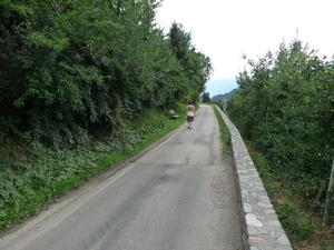 2009_07_12 053 Albeins (Albes) - onderweg naar Untersteinerhof - 