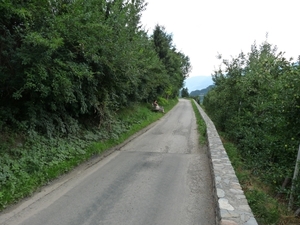 2009_07_12 054 Albeins (Albes) - onderweg naar Untersteinerhof - 