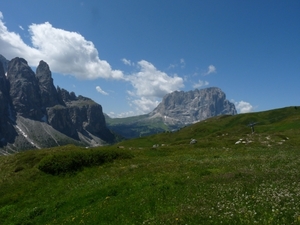 2009_07_13 012 Grödnerjoch (Passo Gardena) - rotsen, gras