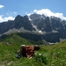 2009_07_13 025ABC-pano Grödnerjoch (Passo Gardena) - uitzicht, O