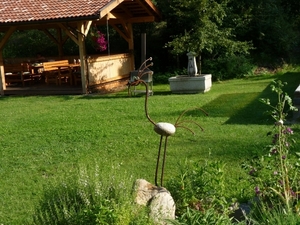 2009_07_13 070 Albeins (Albes) Untersteinerhof - tuin - speciaal 