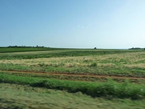 2009_07_23 091 van Umag naar Novigrad - onderweg, landschap