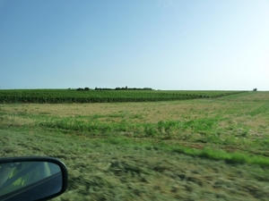 2009_07_23 092 van Umag naar Novigrad - onderweg, landschap