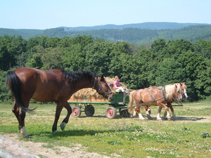 2006_0619buchlovpark