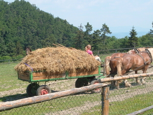 2006_0619buchlovpark