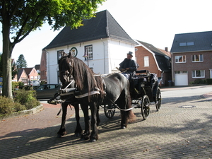 Uelsen, De 09-10-2009 050