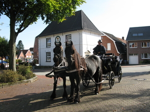 Uelsen, De 09-10-2009 051