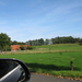 Uelsen, De 09-10-2009 066