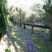 Uelsen, De 09-10-2009 073