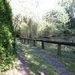 Uelsen, De 09-10-2009 074