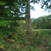 Uelsen, De 09-10-2009 077
