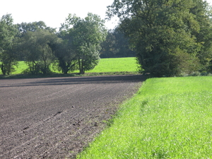 Uelsen, De 09-10-2009 090