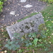 Uelsen, De 09-10-2009 094