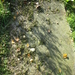 Uelsen, De 09-10-2009 096