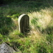 Uelsen, De 09-10-2009 097