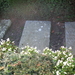 Uelsen, De 09-10-2009 098