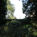 Uelsen, De 09-10-2009 101